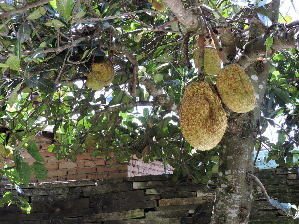 Pousada Casa Da Serra 호텔 São Tomé das Letras 외부 사진