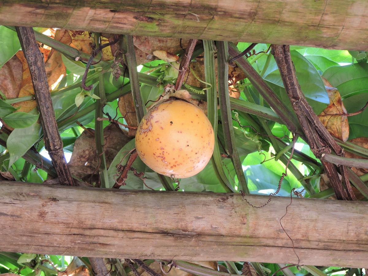 Pousada Casa Da Serra São Tomé das Letras 외부 사진